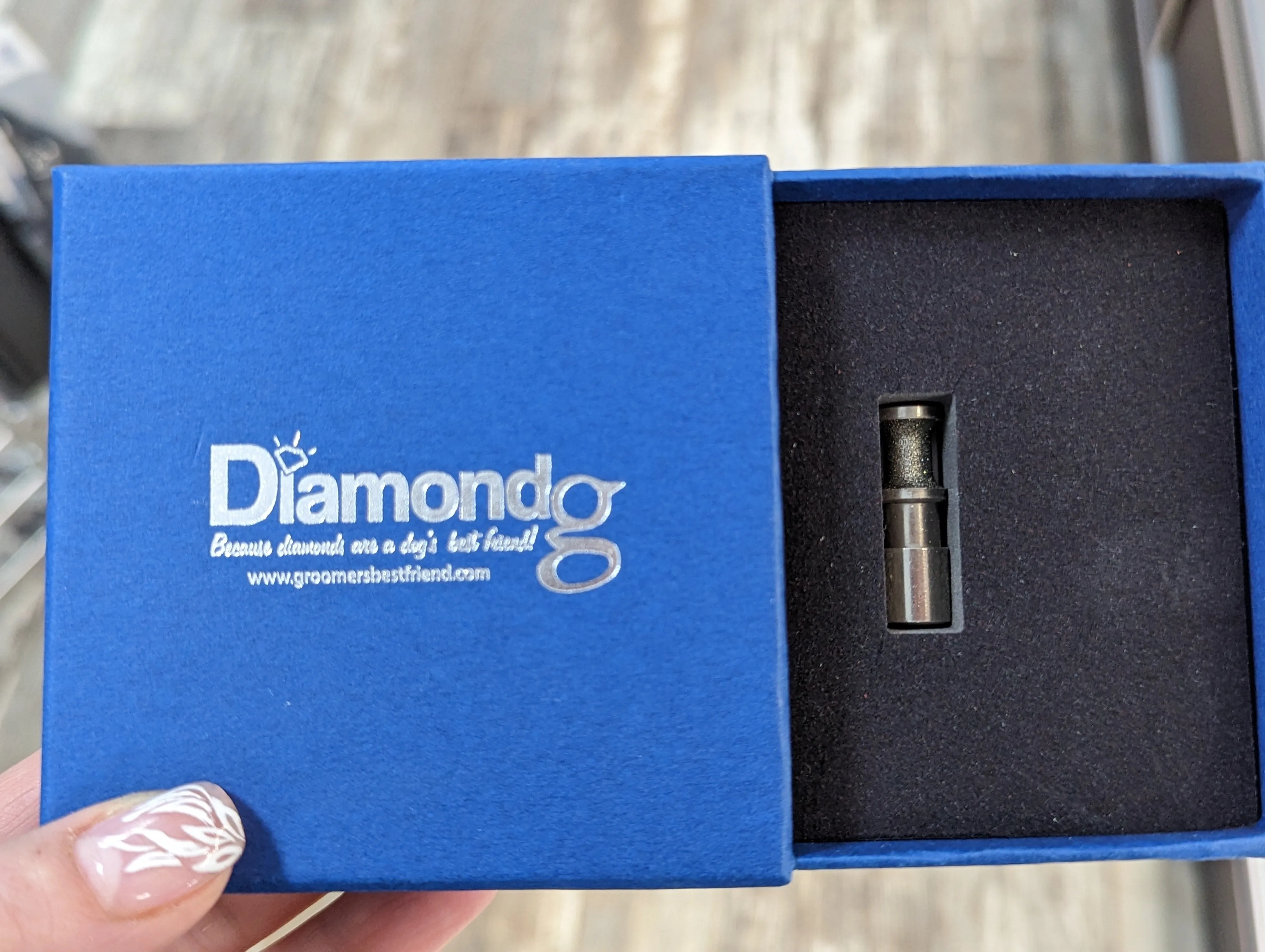 DiamondG ENHANCED  Rotary Nail Grinder BIT