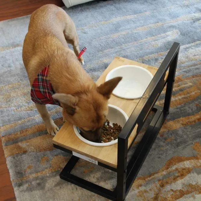 Elevated Dog Bowls Adjustable to 3 Heights for Dog Ceramic Food and Water Bowls
