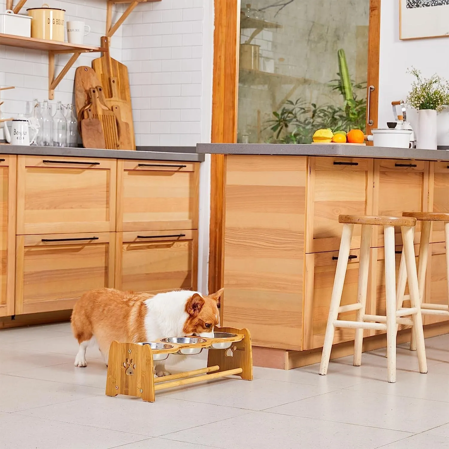 Elevated Dog Bowls for Cats and Dogs