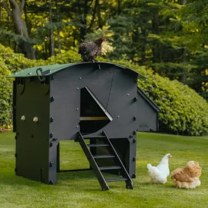 Nestera Raised Chicken Coop (up to 6 chickens)