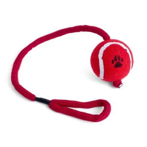 Petface Tennis Ball on a Rope