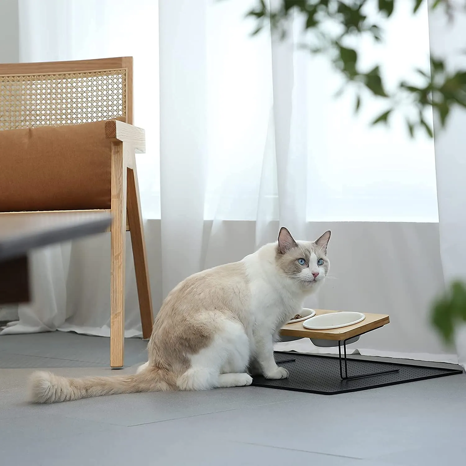 Solid Bamboo Water Stand Feeder Set