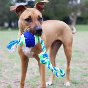 Twisted Rope Sling Tennis Ball Dog Toy